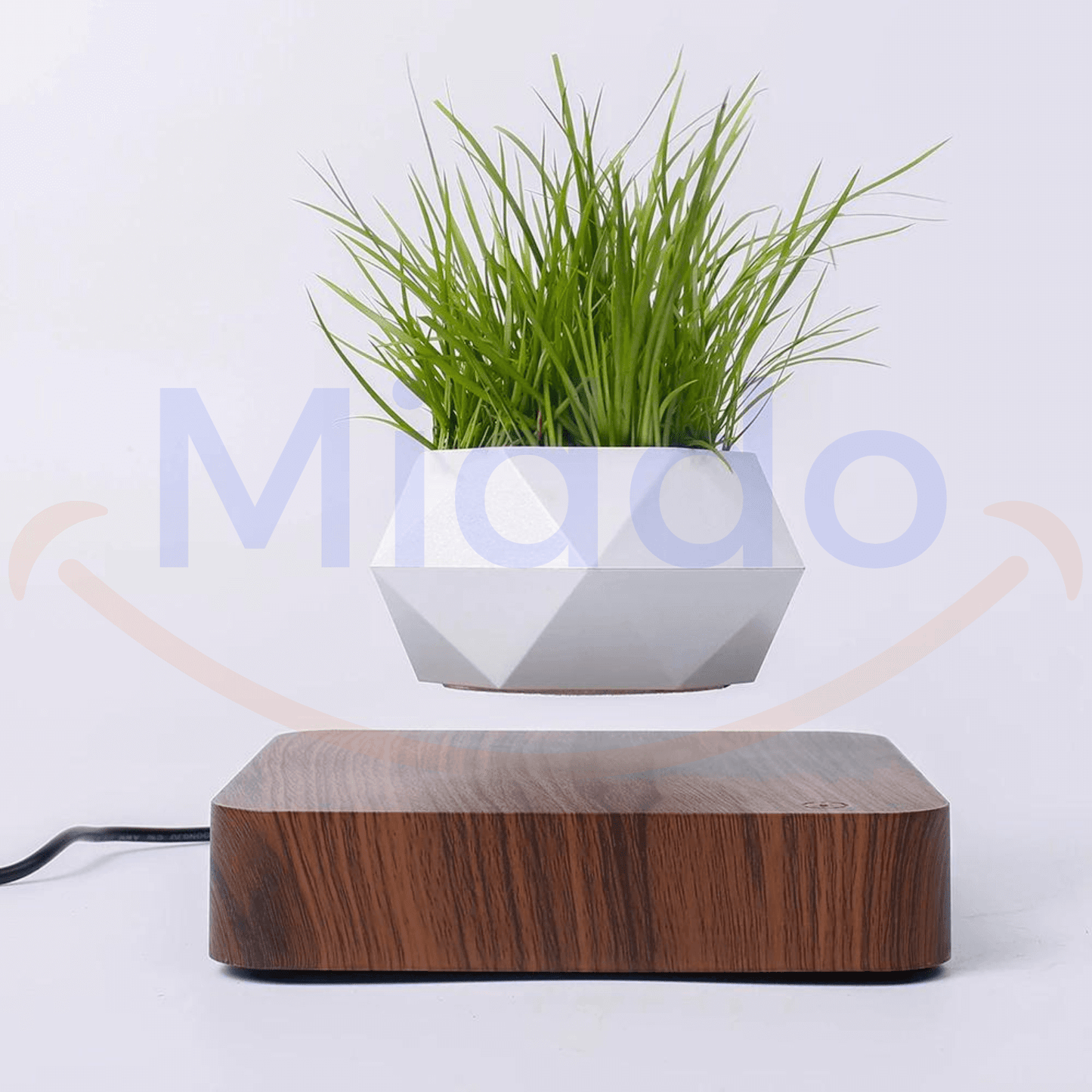 FloatPot™ | Pot de Plante Flottant Magique pour une Décoration Intérieure Moderne