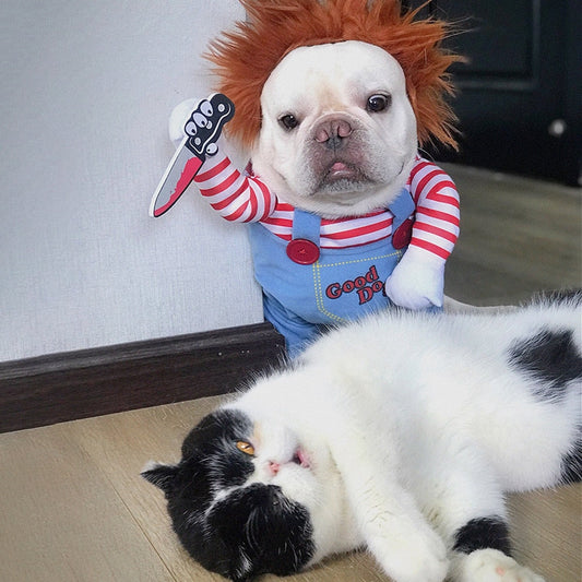 Pet Chucky™ | Le Costume pour Animaux le Plus Drôle et Effrayant pour Halloween !