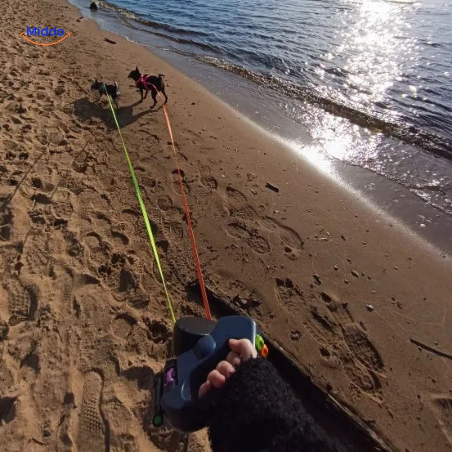 TwinTails™ EasyWalk | Laisse 2-en-1 Pratique pour Deux Chiens
